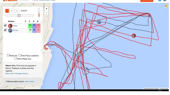 strava.jpg