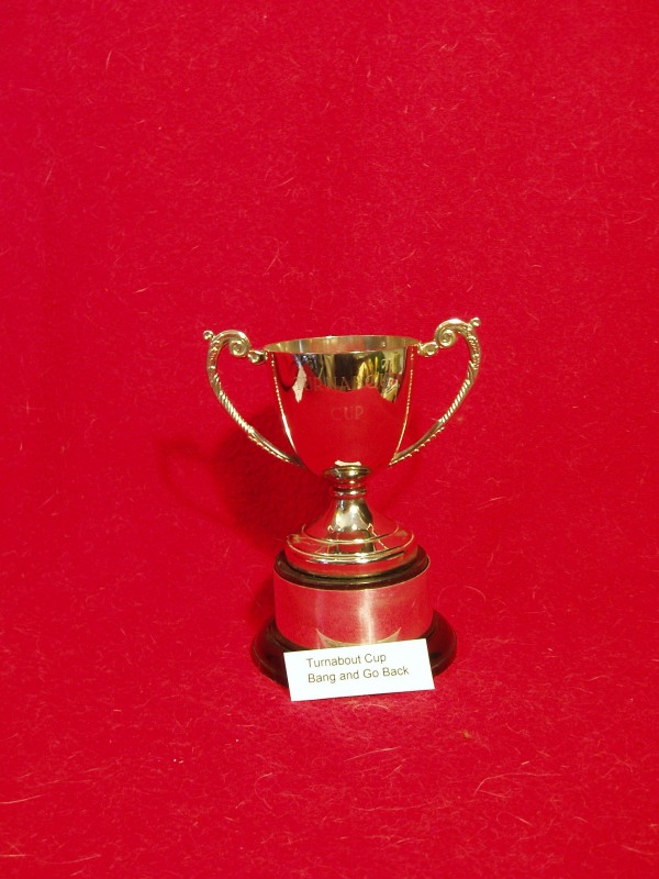 Turnabout Cup